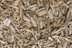 biomass boilers Lightwood